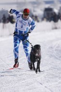 Lenk 2013